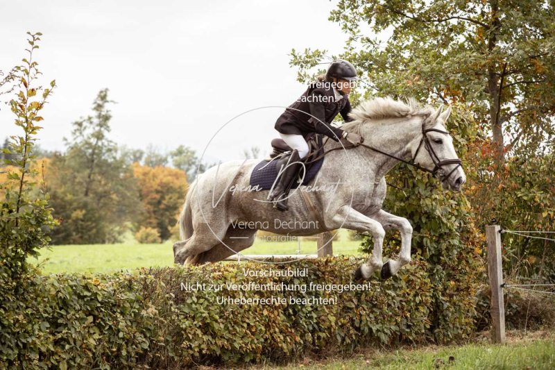 Schleppjagd_Herrenchiemsee-472 Schleppjagd_Herrenchiemsee-472