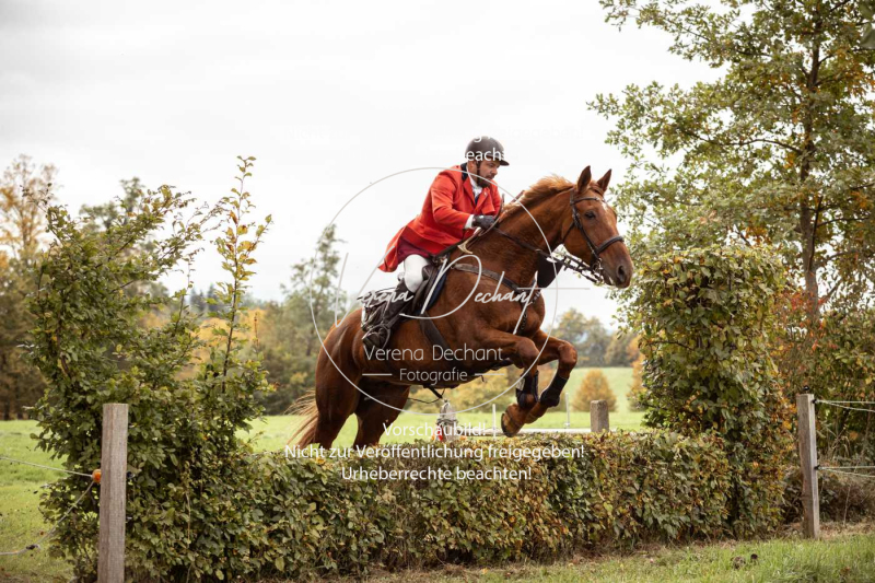 Schleppjagd_Herrenchiemsee-474 Schleppjagd_Herrenchiemsee-474