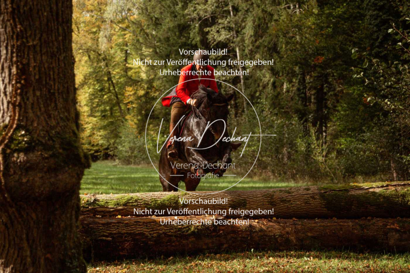 Schleppjagd_Herrenchiemsee-475 Schleppjagd_Herrenchiemsee-475