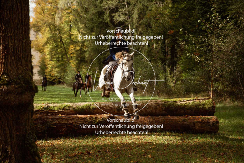 Schleppjagd_Herrenchiemsee-478 Schleppjagd_Herrenchiemsee-478