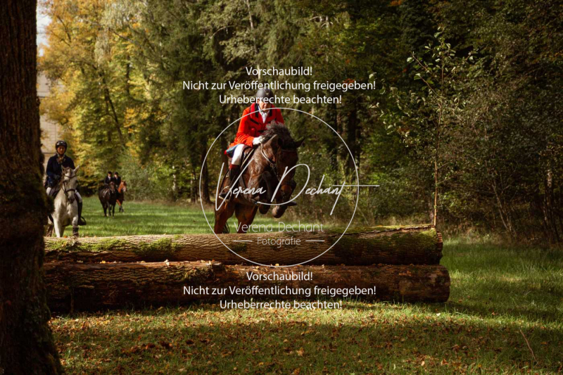 Schleppjagd_Herrenchiemsee-480 Schleppjagd_Herrenchiemsee-480