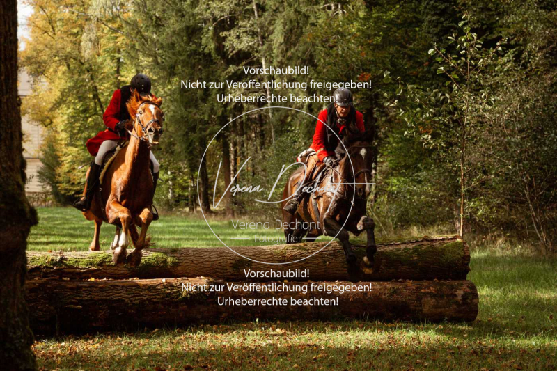 Schleppjagd_Herrenchiemsee-489 Schleppjagd_Herrenchiemsee-489