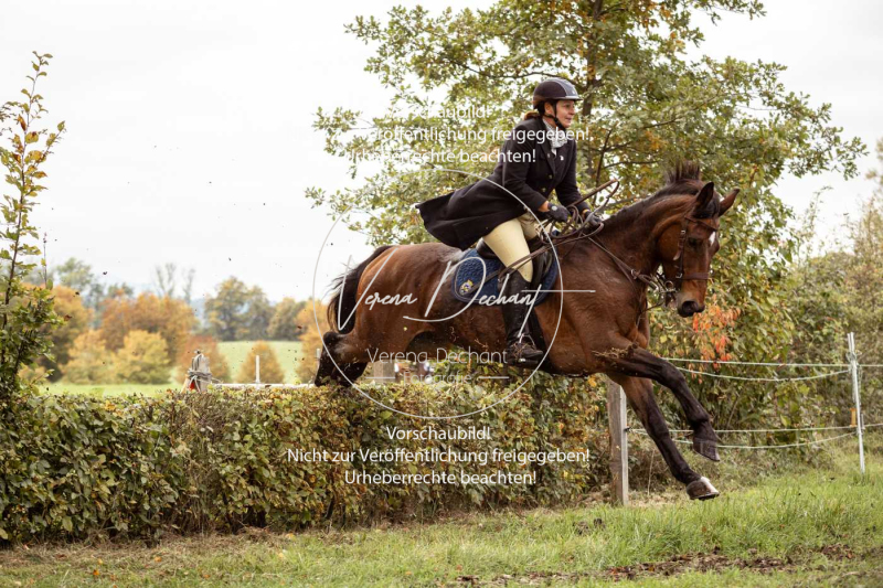 Schleppjagd_Herrenchiemsee-492 Schleppjagd_Herrenchiemsee-492