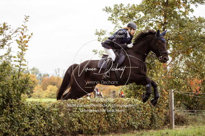 Schleppjagd_Herrenchiemsee-495 Schleppjagd_Herrenchiemsee-495