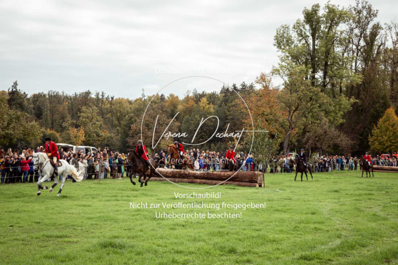 Schleppjagd_Herrenchiemsee-500-2 Schleppjagd_Herrenchiemsee-500-2