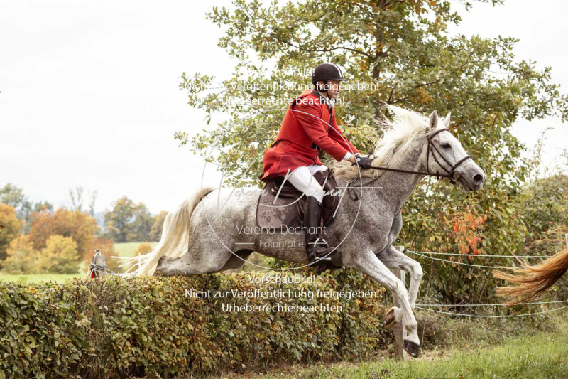 Schleppjagd_Herrenchiemsee-503 Schleppjagd_Herrenchiemsee-503