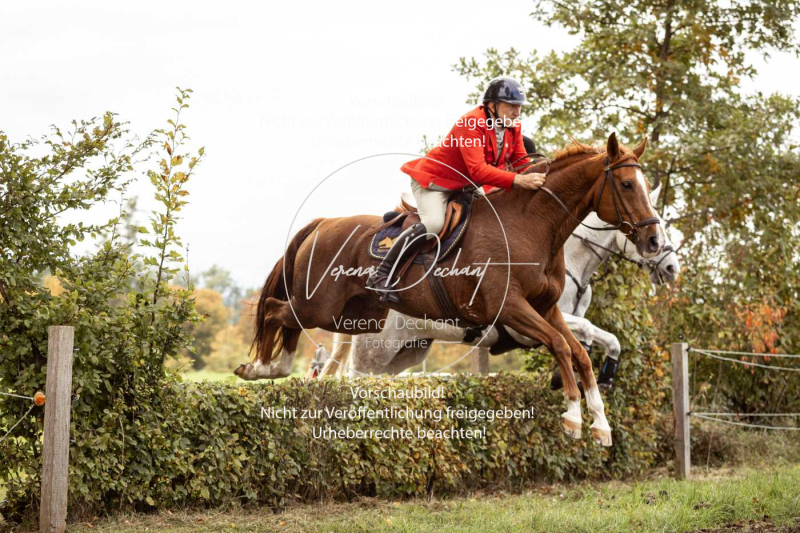 Schleppjagd_Herrenchiemsee-506 Schleppjagd_Herrenchiemsee-506