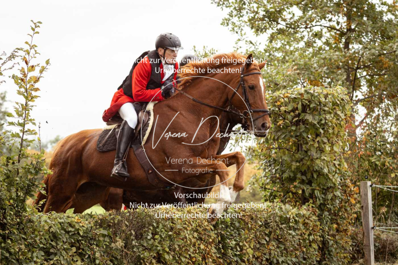 Schleppjagd_Herrenchiemsee-508 Schleppjagd_Herrenchiemsee-508