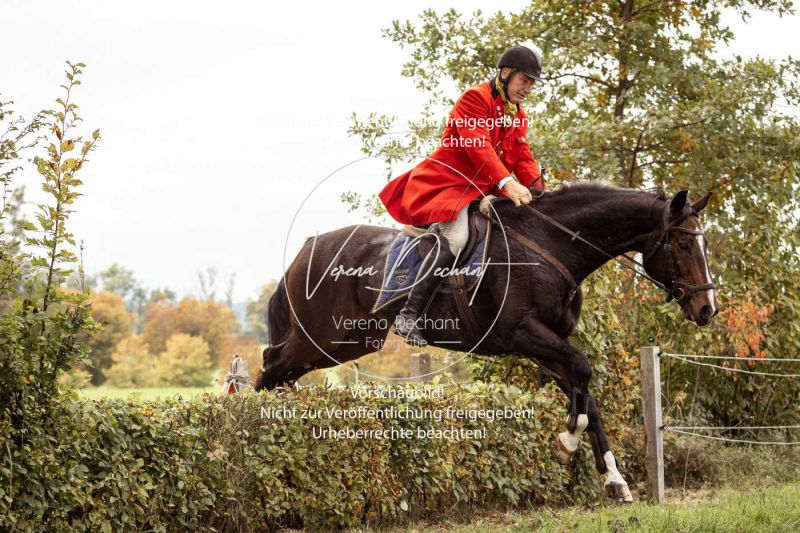 Schleppjagd_Herrenchiemsee-512 Schleppjagd_Herrenchiemsee-512