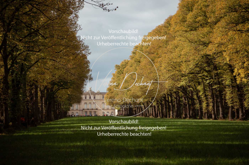 Schleppjagd_Herrenchiemsee-513 Schleppjagd_Herrenchiemsee-513