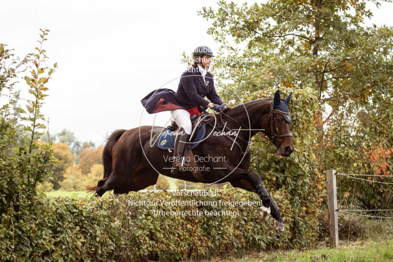 Schleppjagd_Herrenchiemsee-514 Schleppjagd_Herrenchiemsee-514