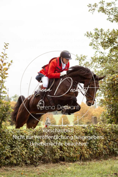 Schleppjagd_Herrenchiemsee-516 Schleppjagd_Herrenchiemsee-516