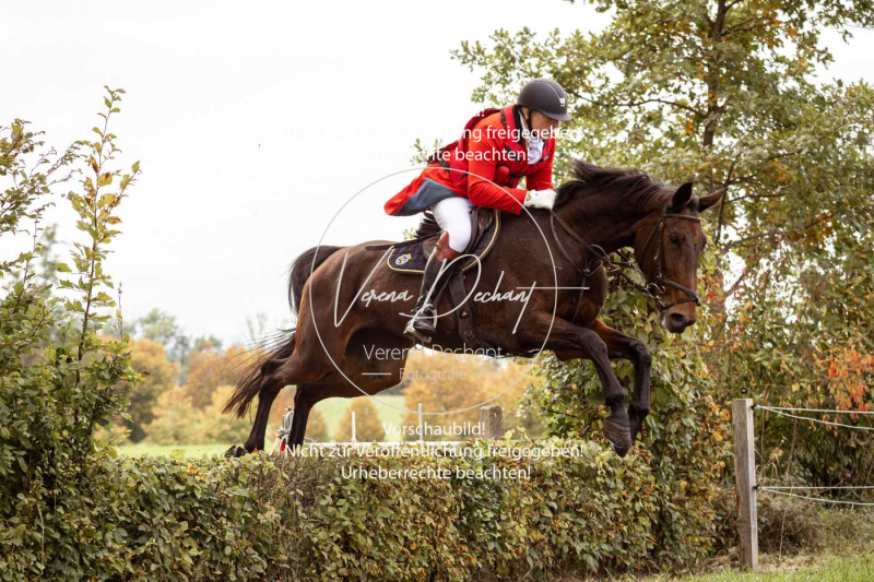 Schleppjagd_Herrenchiemsee-517 Schleppjagd_Herrenchiemsee-517