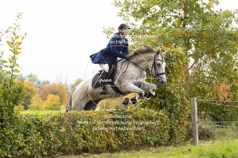 Schleppjagd_Herrenchiemsee-519 Schleppjagd_Herrenchiemsee-519