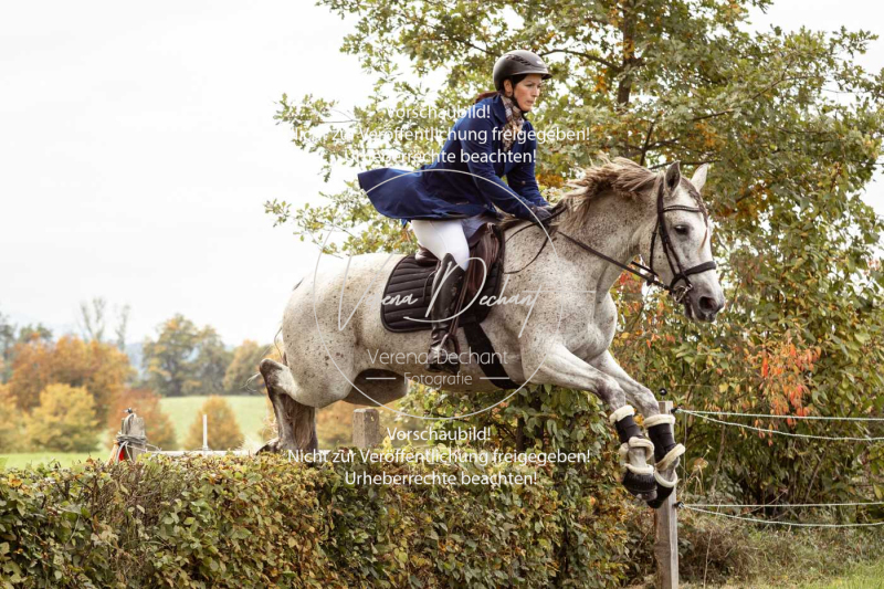 Schleppjagd_Herrenchiemsee-520 Schleppjagd_Herrenchiemsee-520