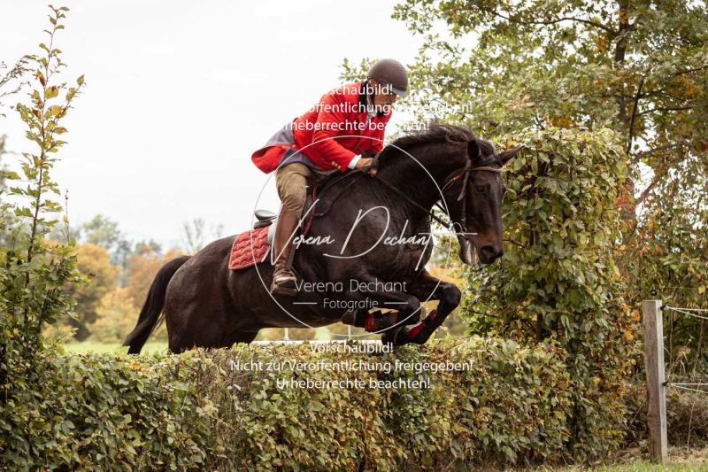 Schleppjagd_Herrenchiemsee-522 Schleppjagd_Herrenchiemsee-522