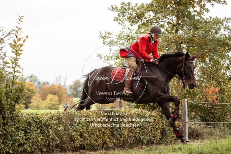 Schleppjagd_Herrenchiemsee-523 Schleppjagd_Herrenchiemsee-523