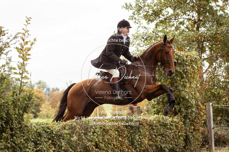 Schleppjagd_Herrenchiemsee-525 Schleppjagd_Herrenchiemsee-525