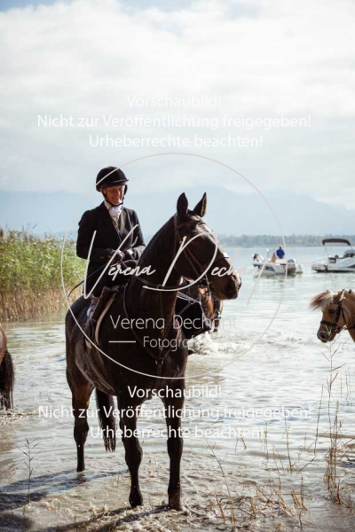 Schleppjagd_Herrenchiemsee-526 Schleppjagd_Herrenchiemsee-526