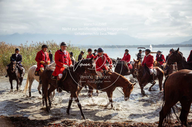 Schleppjagd_Herrenchiemsee-527 Schleppjagd_Herrenchiemsee-527
