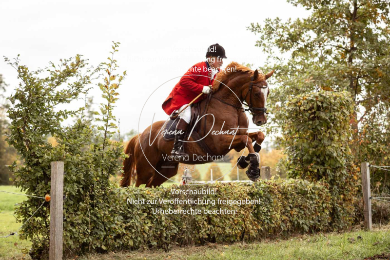 Schleppjagd_Herrenchiemsee-530 Schleppjagd_Herrenchiemsee-530