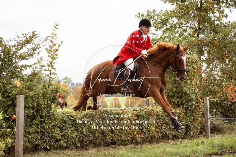 Schleppjagd_Herrenchiemsee-531 Schleppjagd_Herrenchiemsee-531