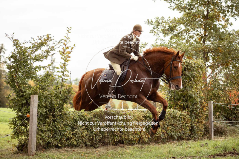 Schleppjagd_Herrenchiemsee-532 Schleppjagd_Herrenchiemsee-532