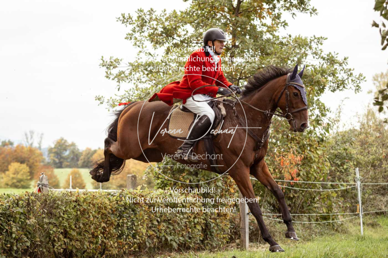 Schleppjagd_Herrenchiemsee-536 Schleppjagd_Herrenchiemsee-536