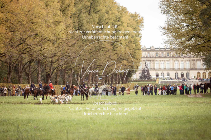 Schleppjagd_Herrenchiemsee-537 Schleppjagd_Herrenchiemsee-537