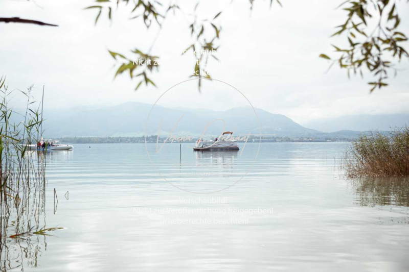 Schleppjagd_Herrenchiemsee-543 Schleppjagd_Herrenchiemsee-543