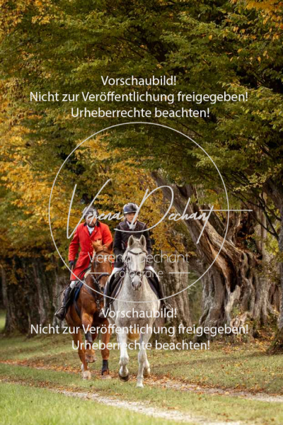 Schleppjagd_Herrenchiemsee-544 Schleppjagd_Herrenchiemsee-544