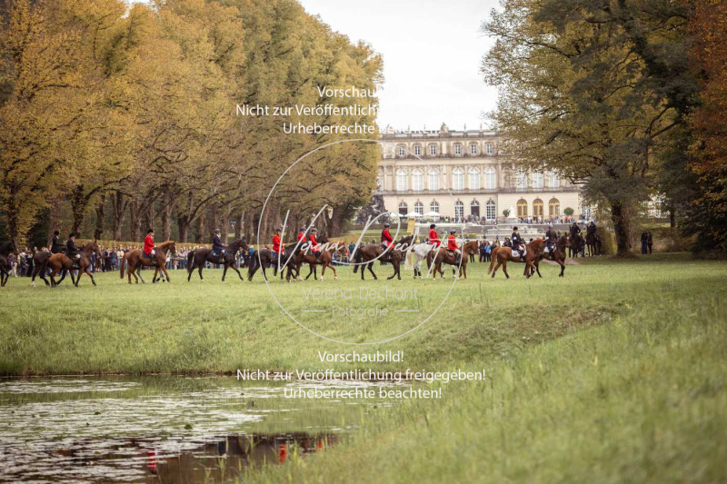 Schleppjagd_Herrenchiemsee-546 Schleppjagd_Herrenchiemsee-546