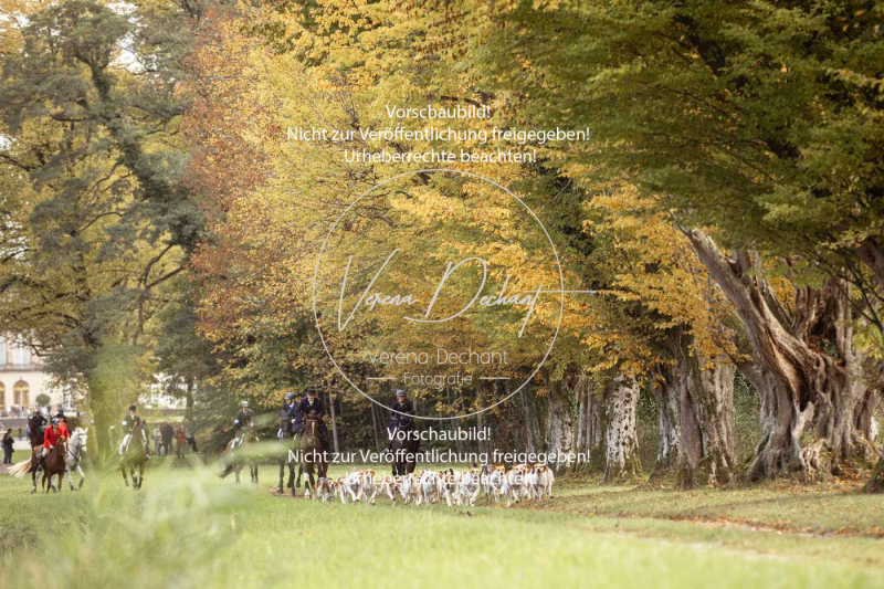 Schleppjagd_Herrenchiemsee-547 Schleppjagd_Herrenchiemsee-547