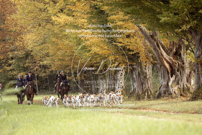 Schleppjagd_Herrenchiemsee-549 Schleppjagd_Herrenchiemsee-549