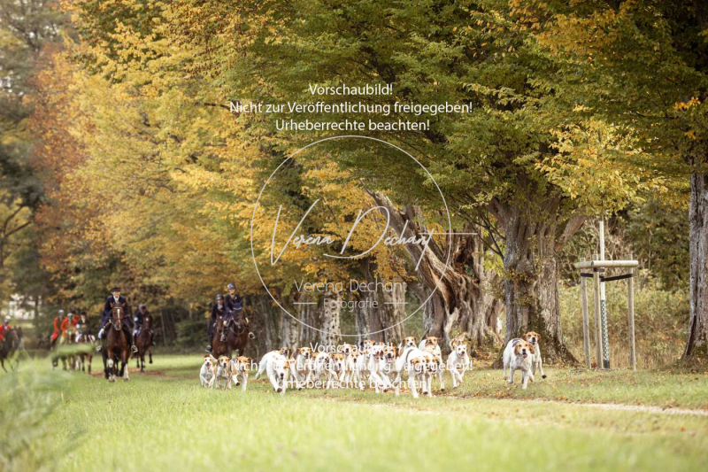 Schleppjagd_Herrenchiemsee-552 Schleppjagd_Herrenchiemsee-552