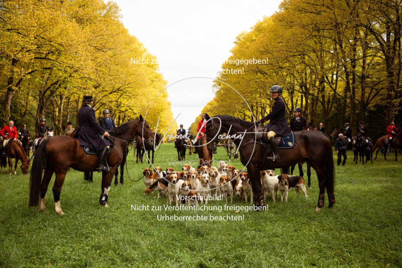 Schleppjagd_Herrenchiemsee-555 Schleppjagd_Herrenchiemsee-555