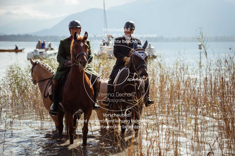 Schleppjagd_Herrenchiemsee-557 Schleppjagd_Herrenchiemsee-557