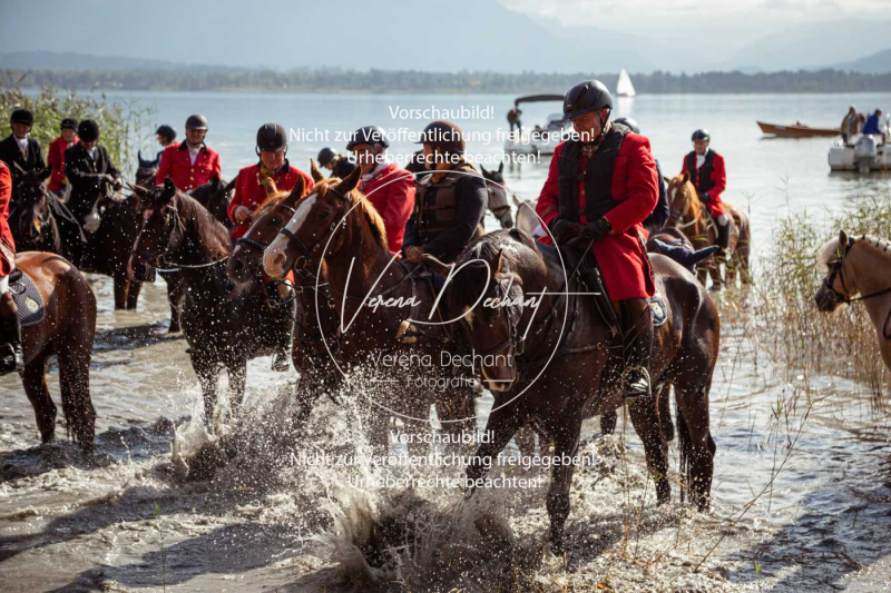 Schleppjagd_Herrenchiemsee-564-2 Schleppjagd_Herrenchiemsee-564-2