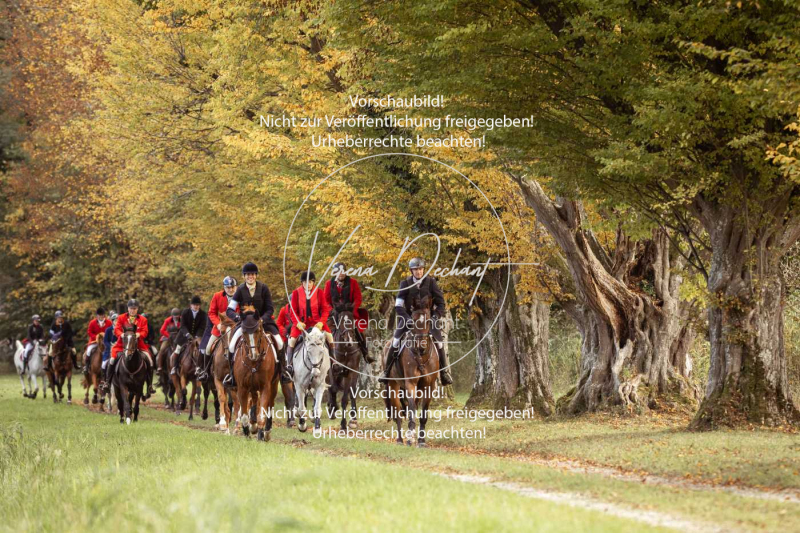 Schleppjagd_Herrenchiemsee-564 Schleppjagd_Herrenchiemsee-564