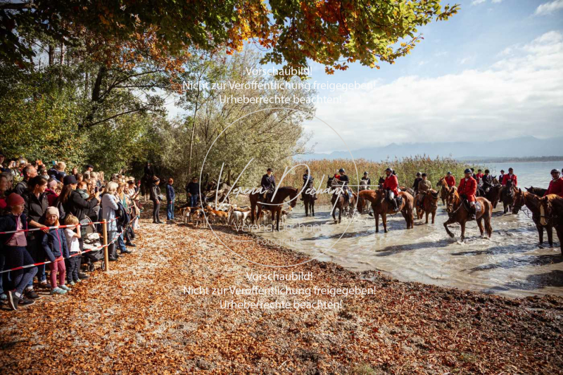 Schleppjagd_Herrenchiemsee-567-2 Schleppjagd_Herrenchiemsee-567-2