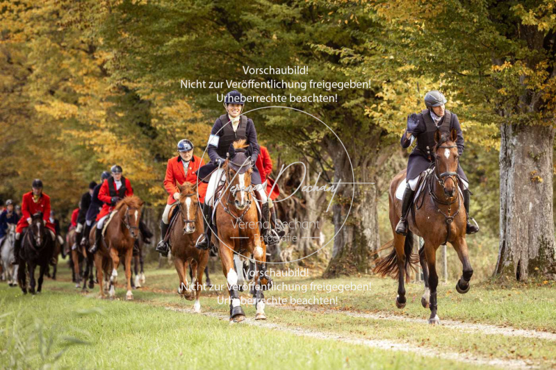 Schleppjagd_Herrenchiemsee-567 Schleppjagd_Herrenchiemsee-567