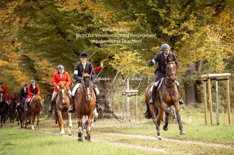 Schleppjagd_Herrenchiemsee-568 Schleppjagd_Herrenchiemsee-568