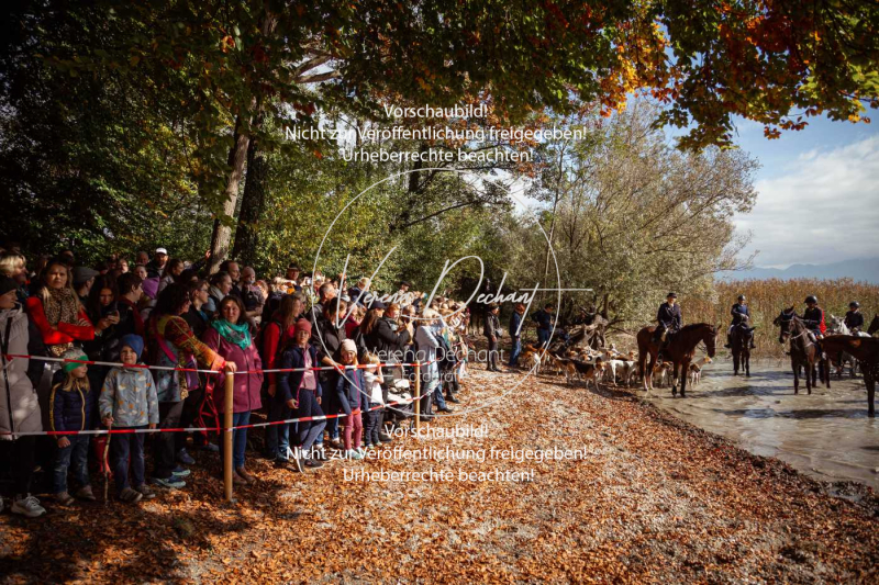 Schleppjagd_Herrenchiemsee-569-2 Schleppjagd_Herrenchiemsee-569-2