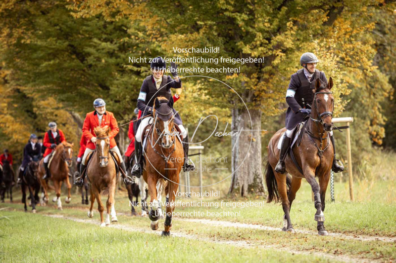 Schleppjagd_Herrenchiemsee-569 Schleppjagd_Herrenchiemsee-569