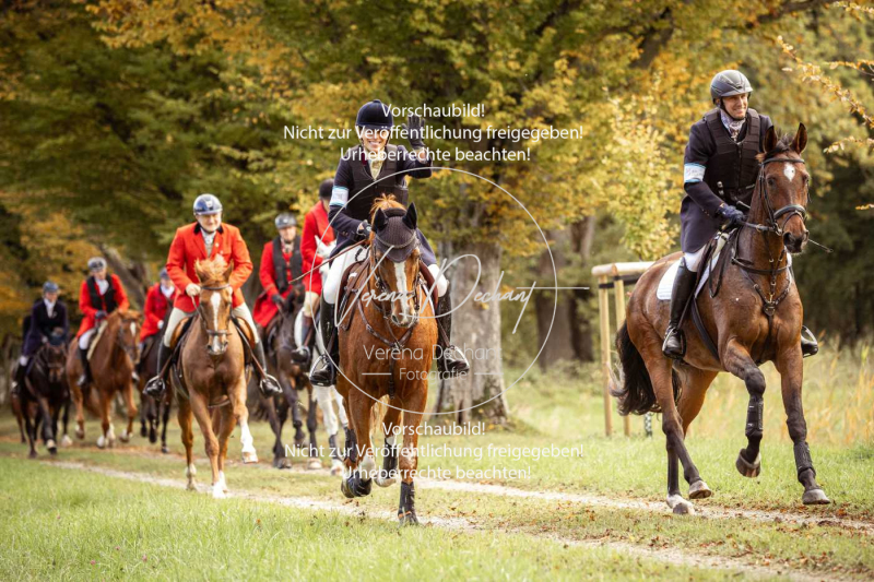 Schleppjagd_Herrenchiemsee-570 Schleppjagd_Herrenchiemsee-570