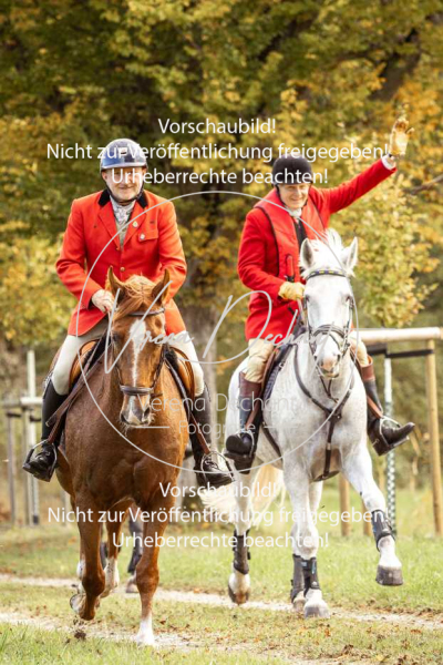 Schleppjagd_Herrenchiemsee-572 Schleppjagd_Herrenchiemsee-572