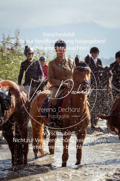 Schleppjagd_Herrenchiemsee-574-2 Schleppjagd_Herrenchiemsee-574-2