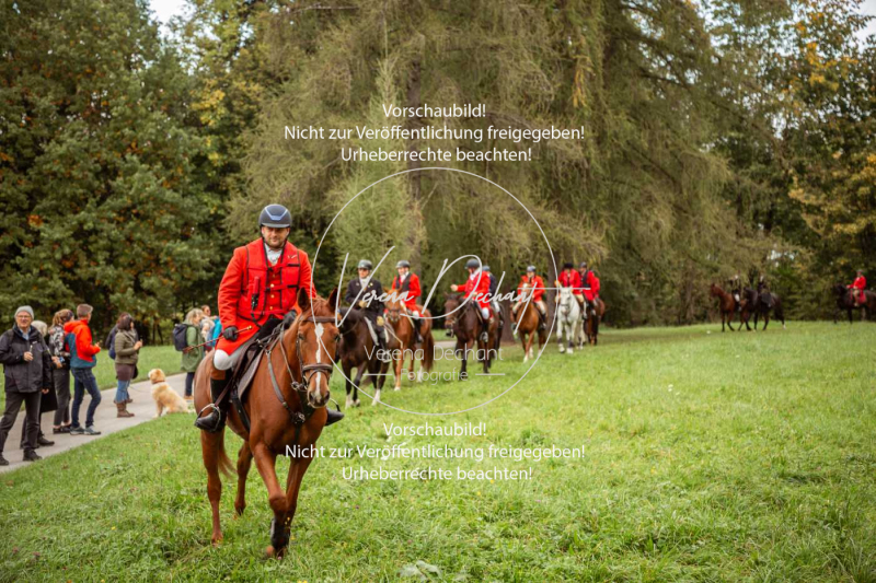 Schleppjagd_Herrenchiemsee-575 Schleppjagd_Herrenchiemsee-575