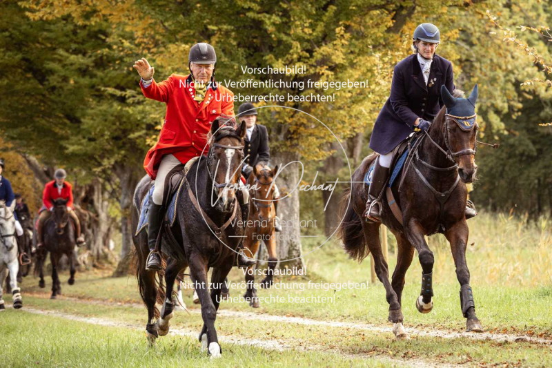 Schleppjagd_Herrenchiemsee-579 Schleppjagd_Herrenchiemsee-579