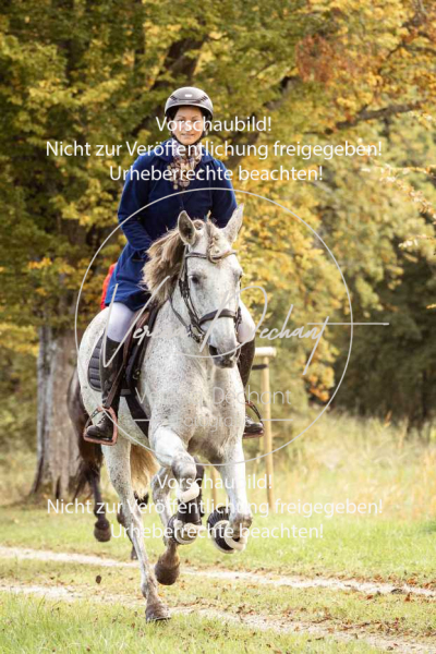 Schleppjagd_Herrenchiemsee-585 Schleppjagd_Herrenchiemsee-585